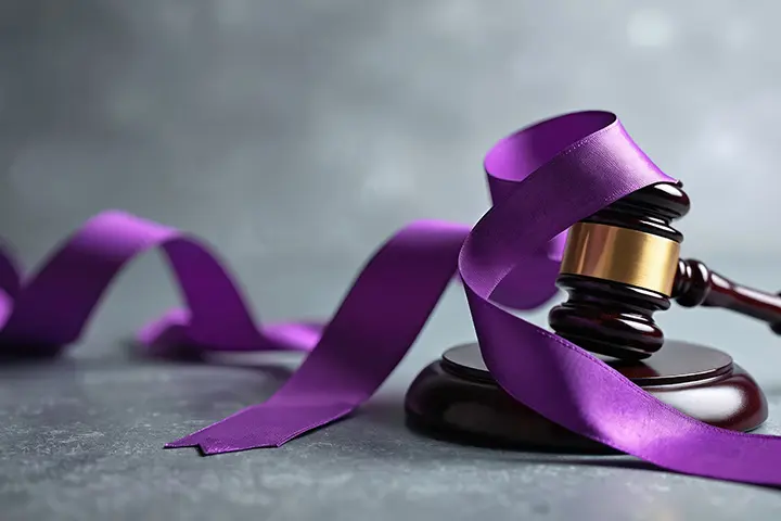 New Domestic Abuse Protection Notices And Orders